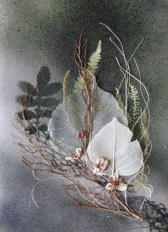 Гербарий - цветы - оригинал