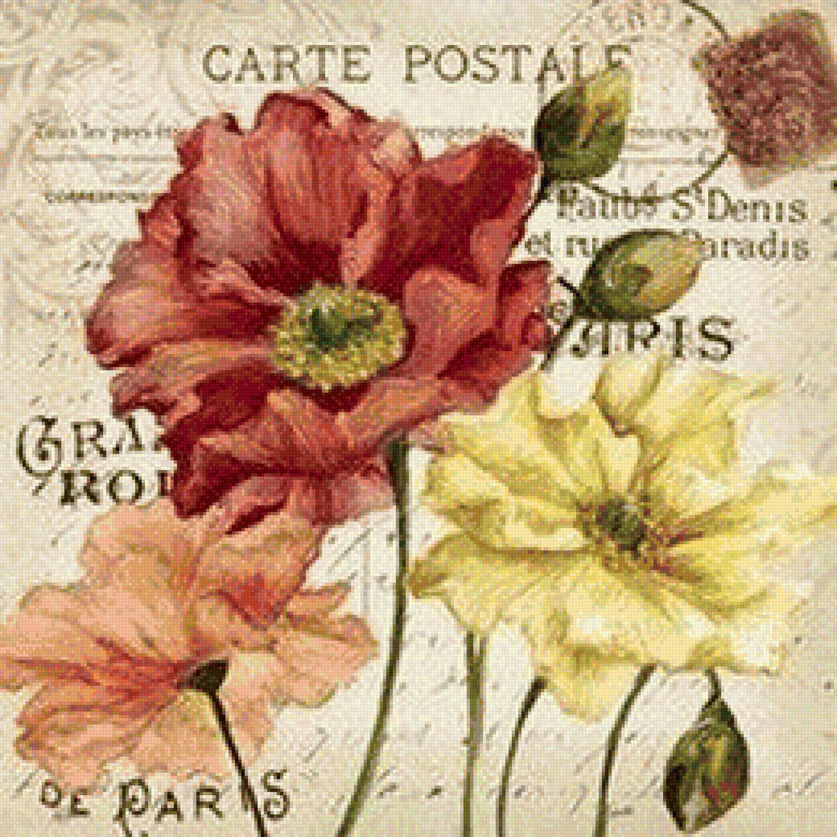 Маки винтаж - предпросмотр