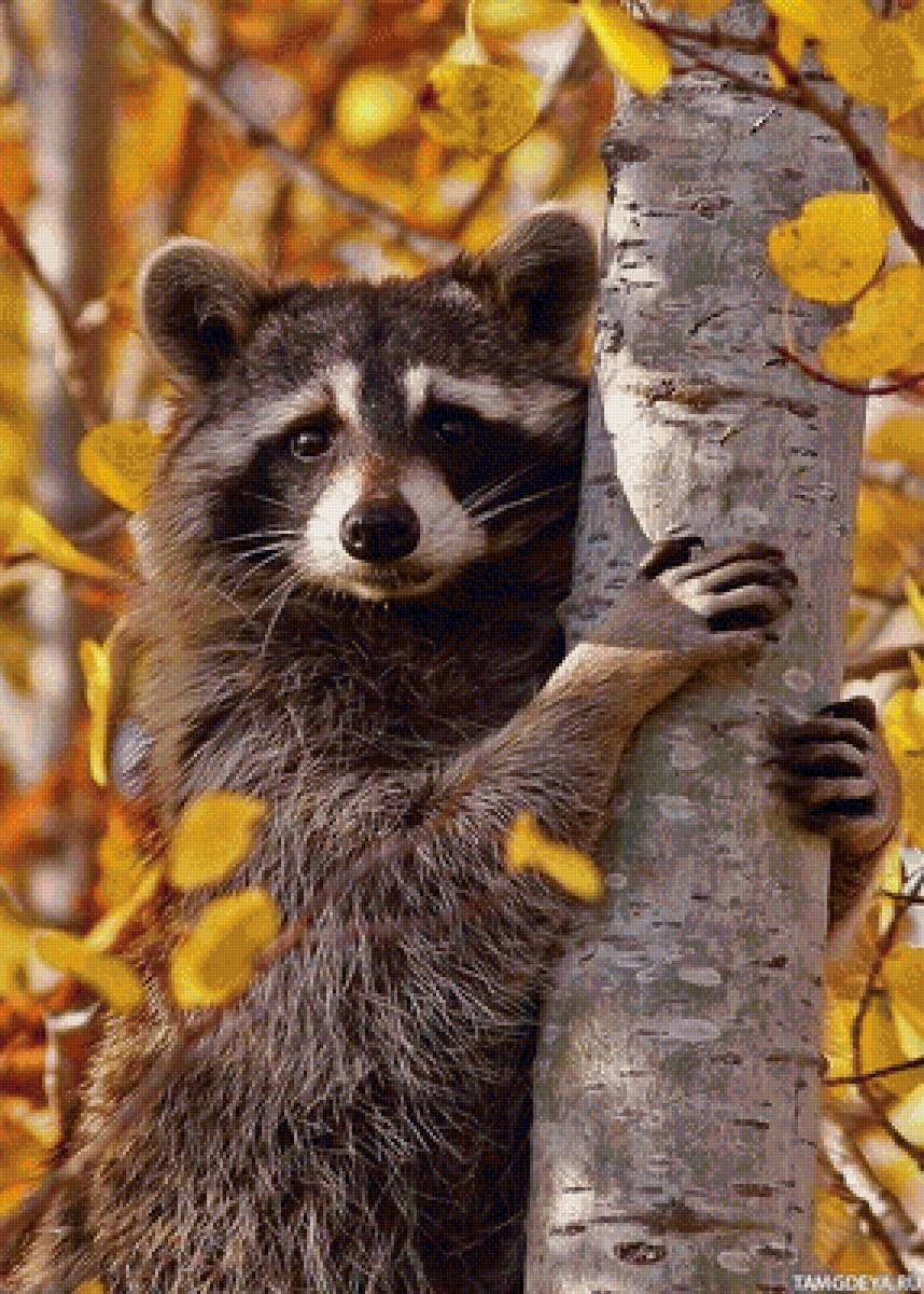 №1359788 - предпросмотр