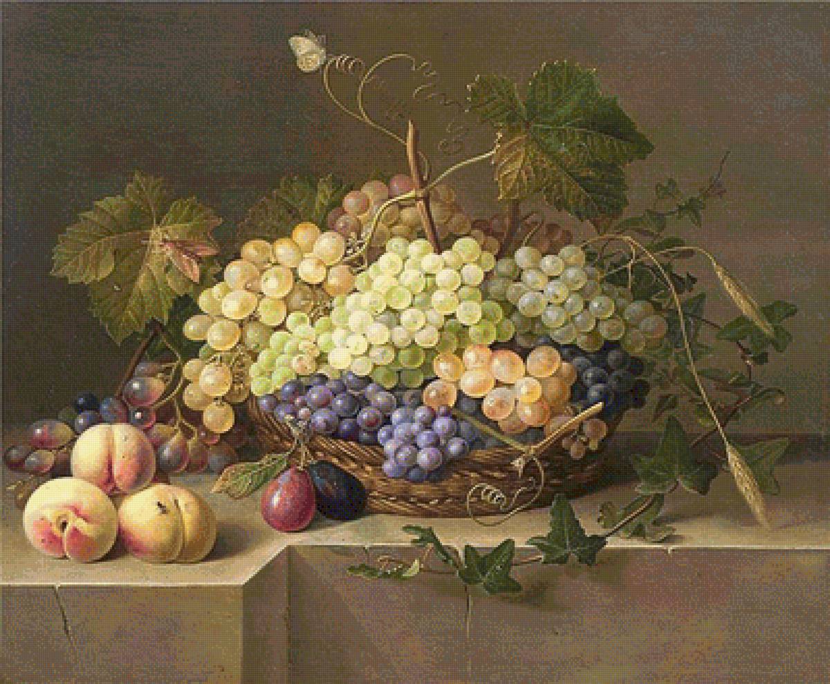 146 - виноград, фрукты - предпросмотр