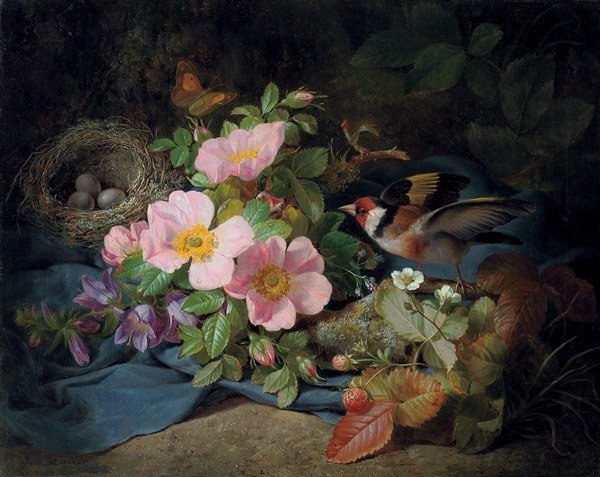 гнездо в цветах штповника - шиповник причка гнездо картина - оригинал