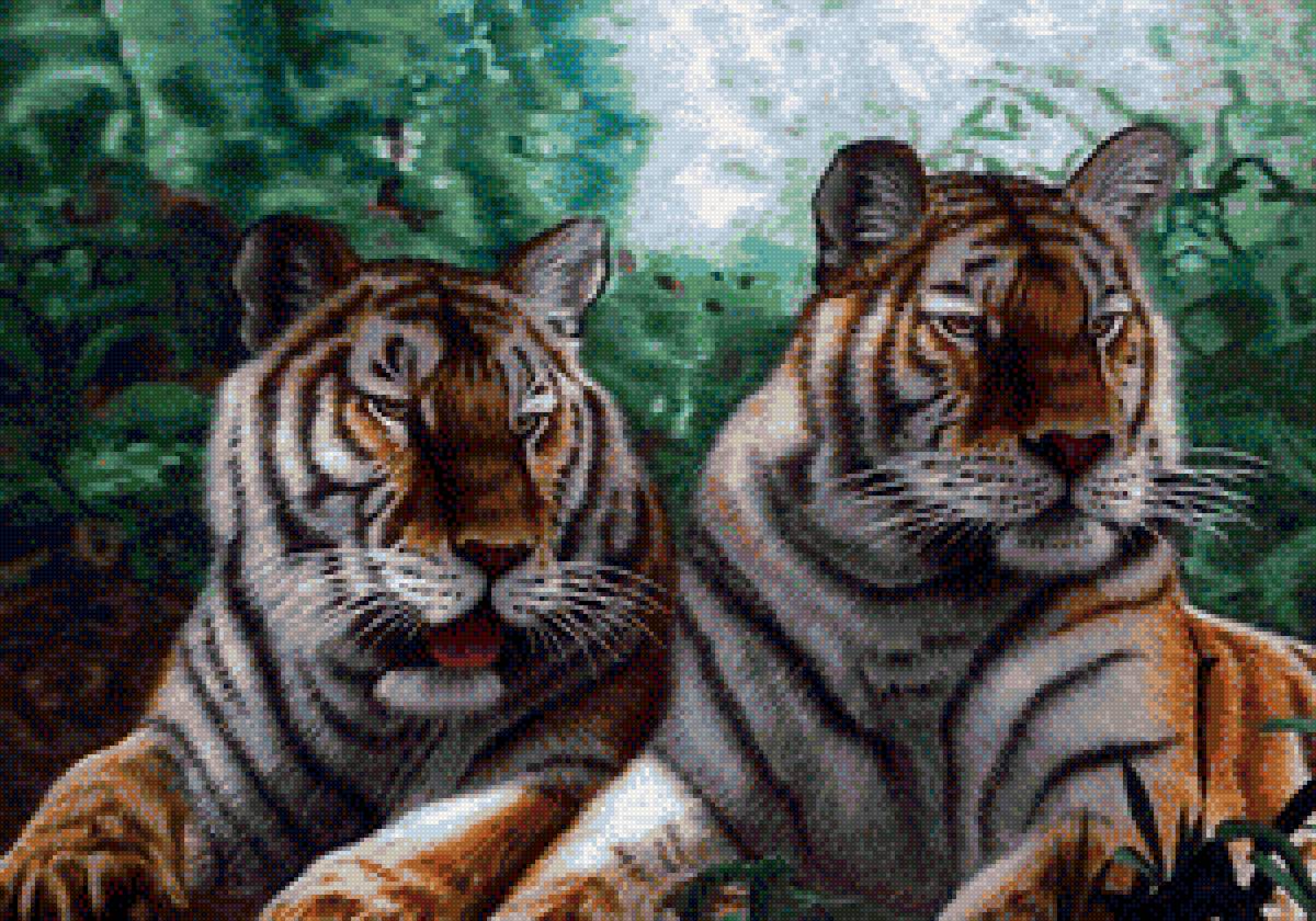 Тигры - большие кошки, тигры - предпросмотр