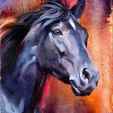 black horse