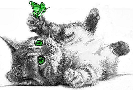 Котенок с зелеными глазами и зеленой бабочкой - котенок, бабочка - оригинал