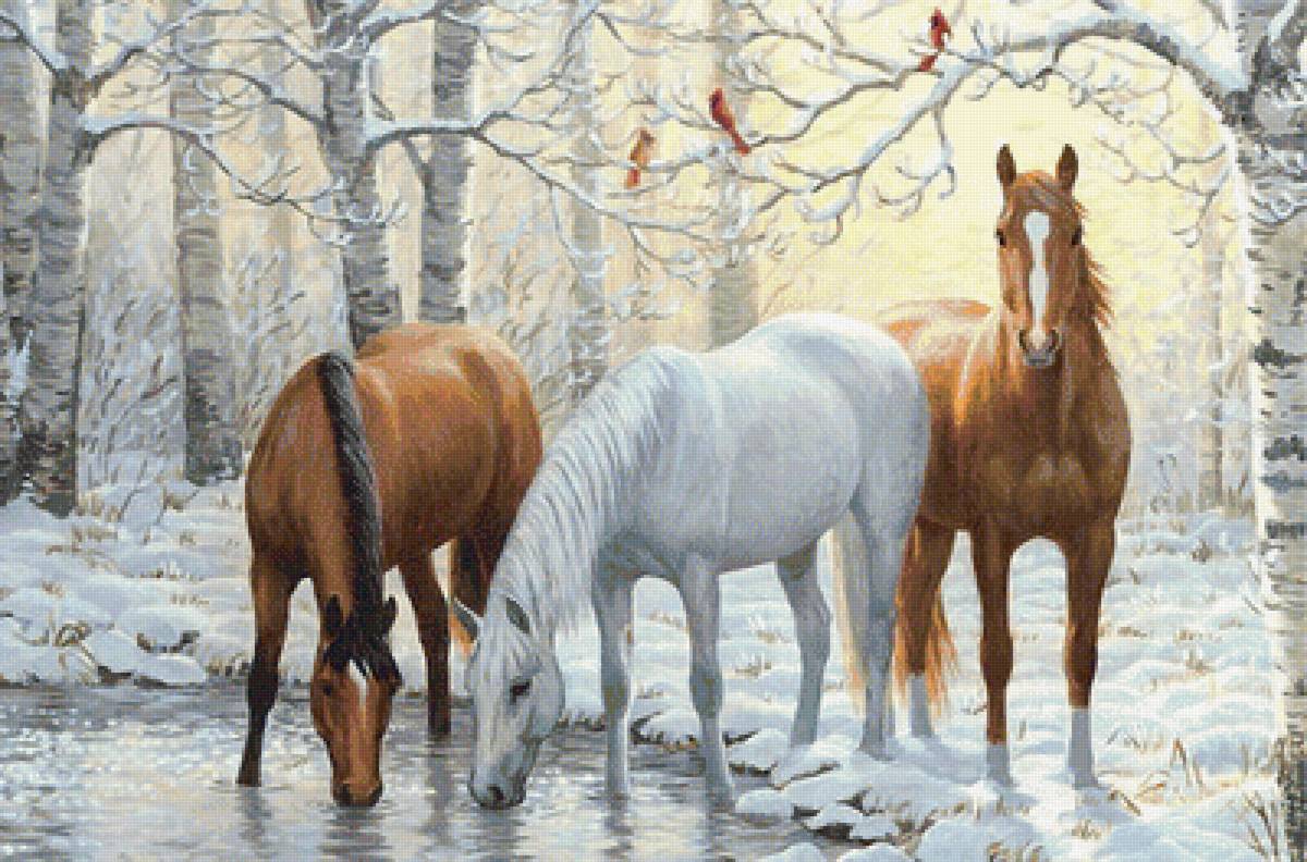 Серия "Фауна" - лошади, снег, зима, на водопое, кони, лес - предпросмотр