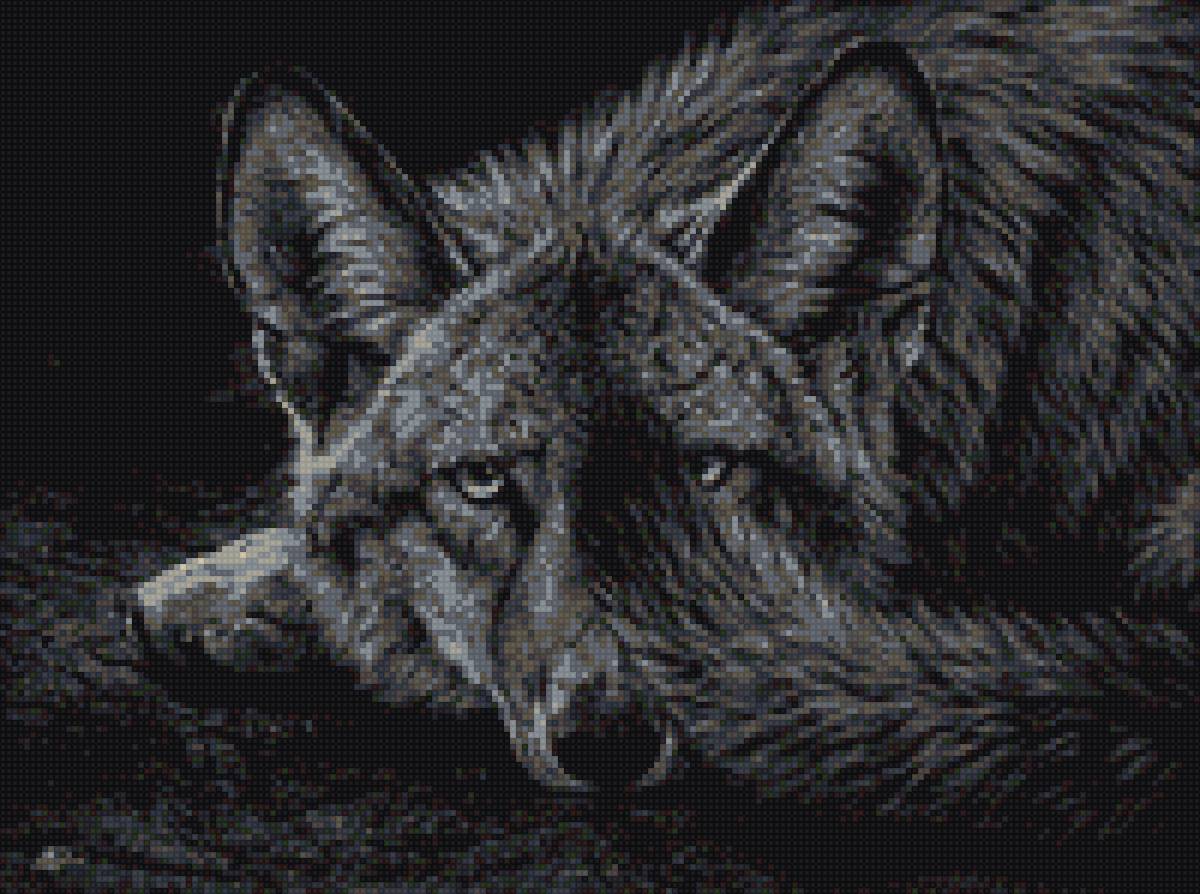 Волчица - природа, волки, животные - предпросмотр