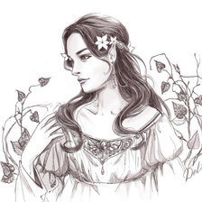 Схема вышивки «лютиэн»