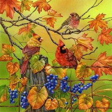 Схема вышивки «птички»