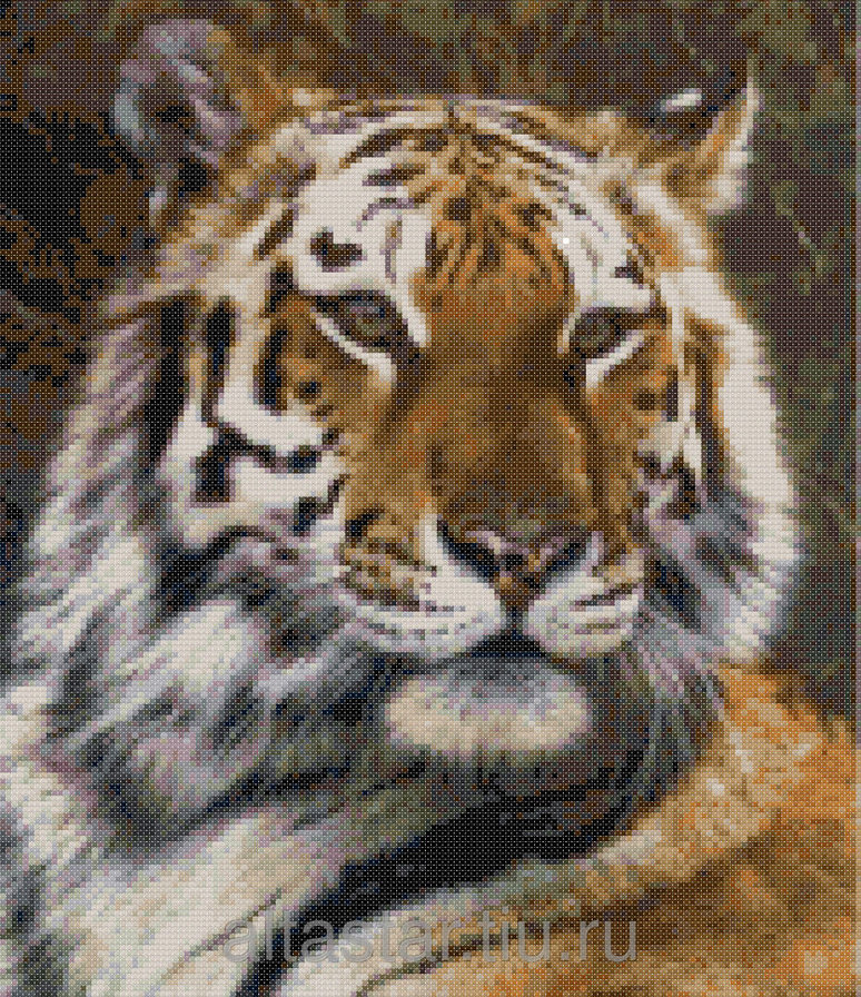 тигр - портрет тигра - оригинал