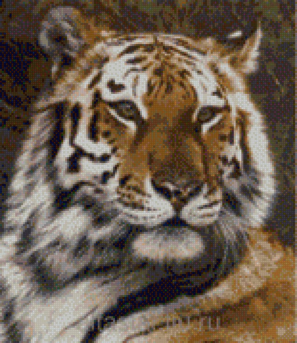 тигр - портрет тигра - предпросмотр