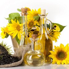 подсолнухи