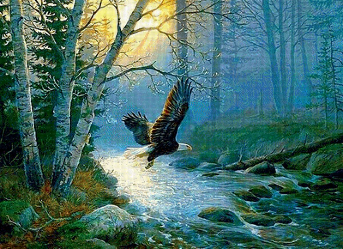 полёт орла - лес, пейзаж, природа - предпросмотр