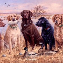 Схема вышивки «Собаки»