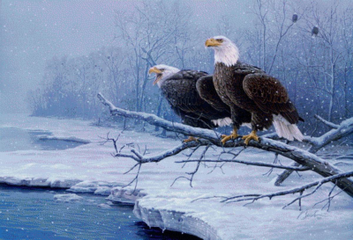 Птицы - пейзаж, природа - предпросмотр