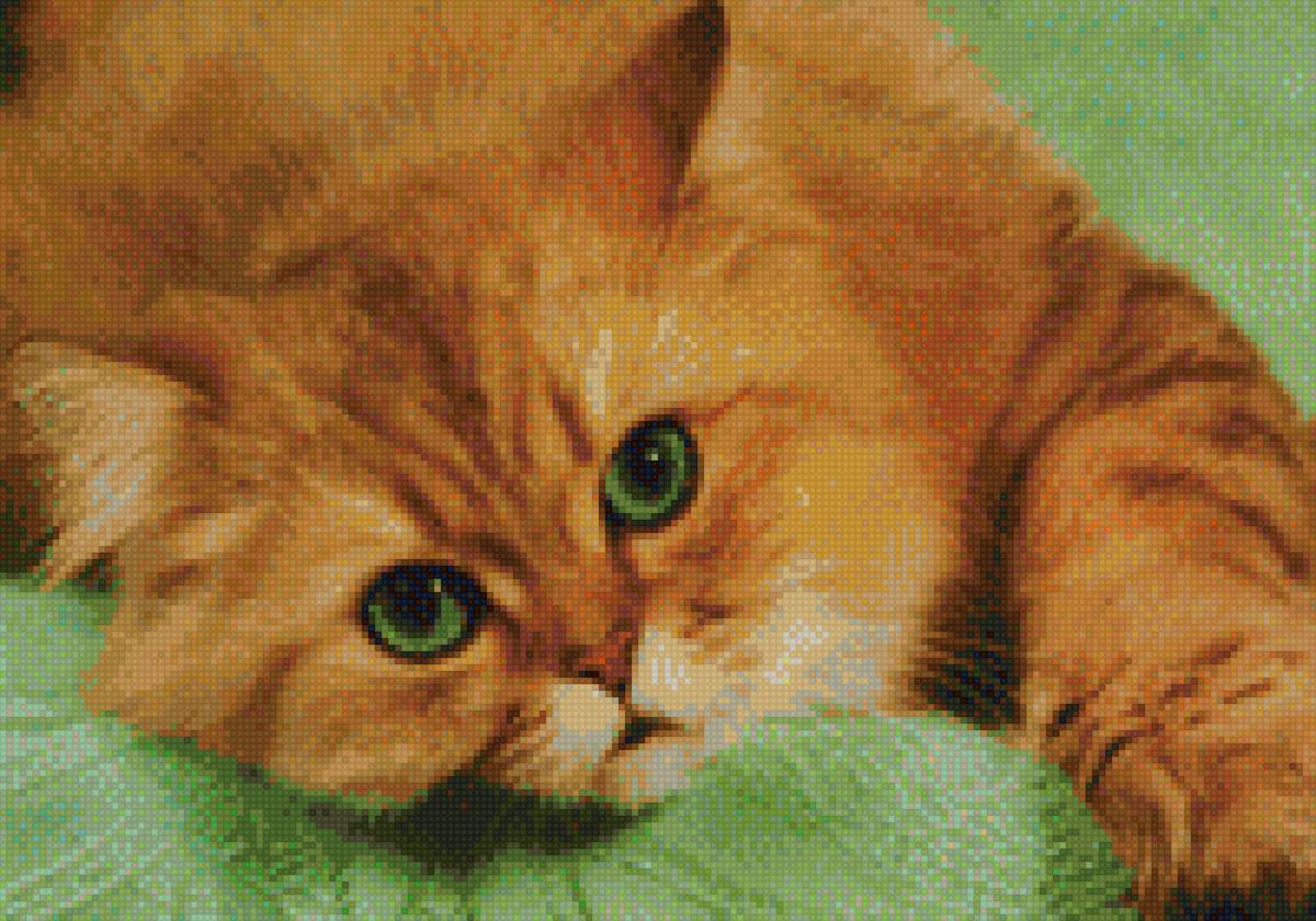 Кот Рыжик - рыжий кот, кот, животные - предпросмотр