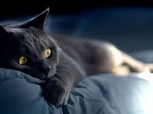 Схема вышивки «Трусишка»