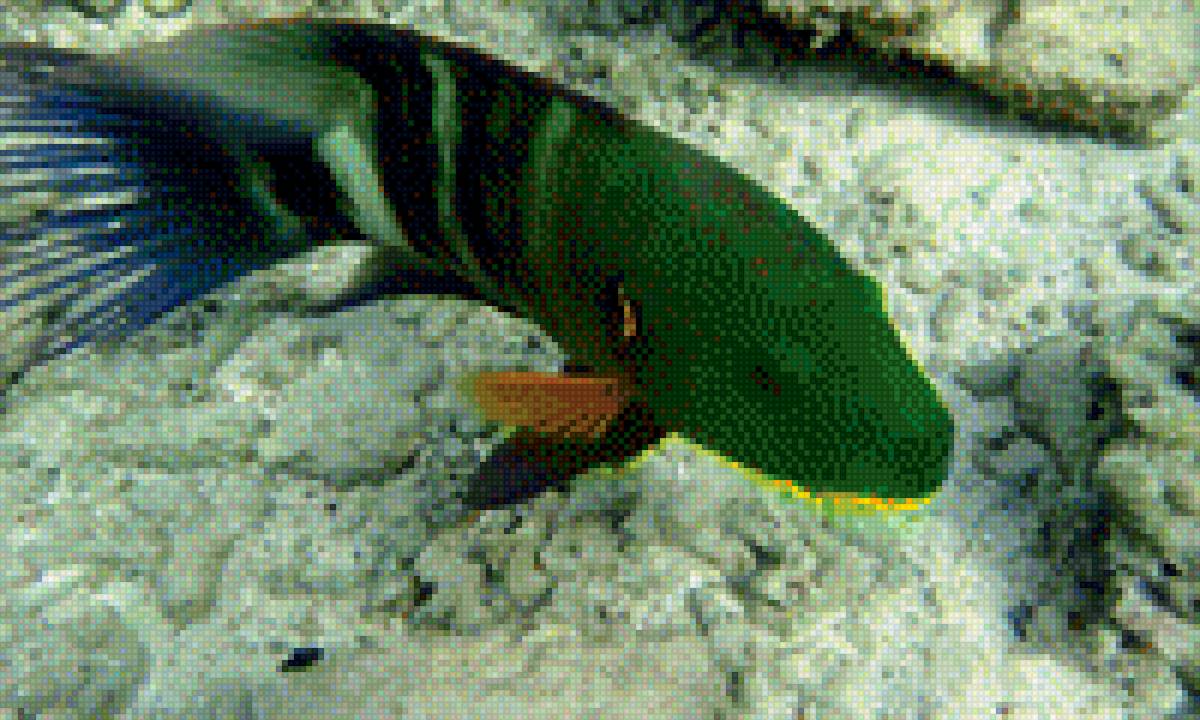 Подводный мир - зеленая рыбка, подводный мир - предпросмотр