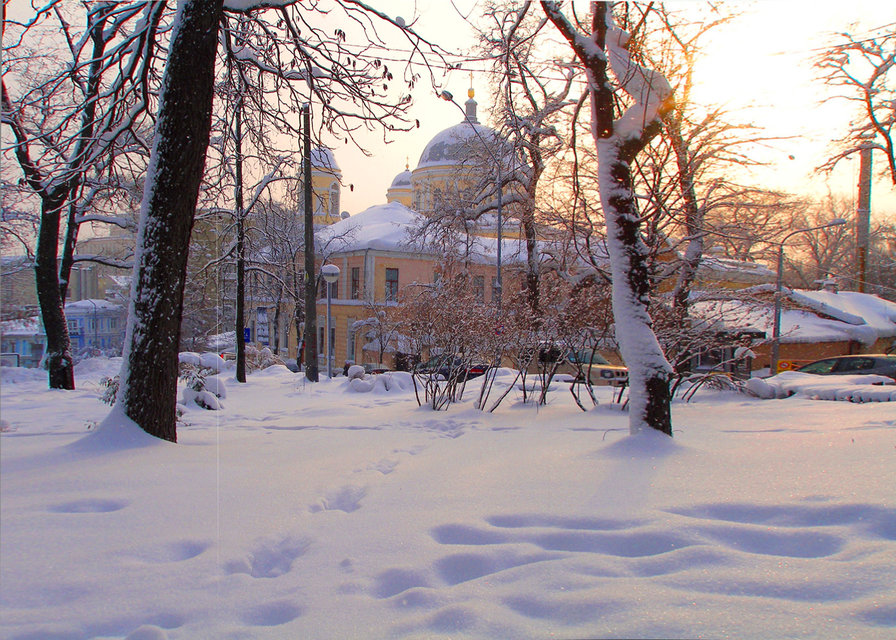 снегири - зима, пейзаж, город - оригинал