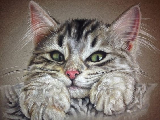 котенок - оригинал