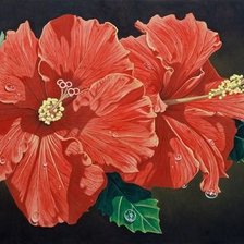 Схема вышивки «гибискус»