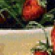 Предпросмотр схемы вышивки «Земляника. Палачев Вячеслав» (№1365799)