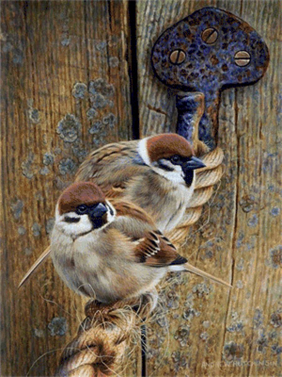 Воробушки - предпросмотр