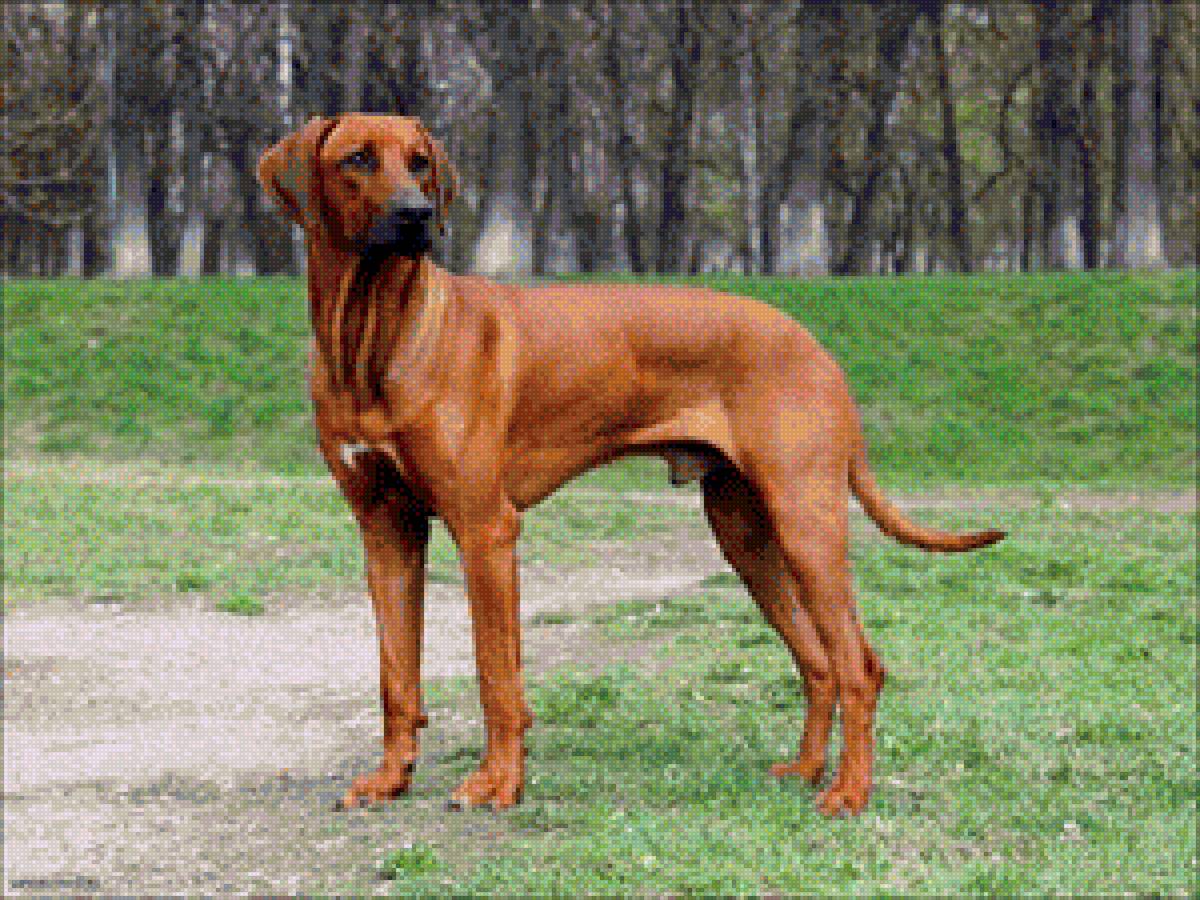 №1366031 - предпросмотр