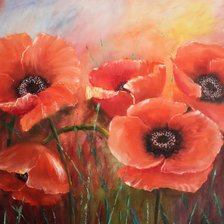 Схема вышивки «Маки»