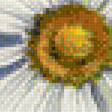 Предпросмотр схемы вышивки «ромашки» (№1366545)
