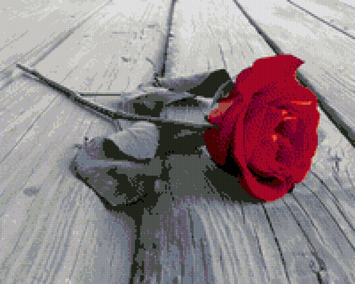 роза - предпросмотр