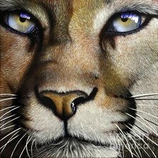 Схема вышивки «Мордаха»