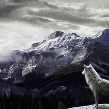 Схема вышивки «волк»