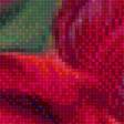 Предпросмотр схемы вышивки «тюльпаны» (№1366921)