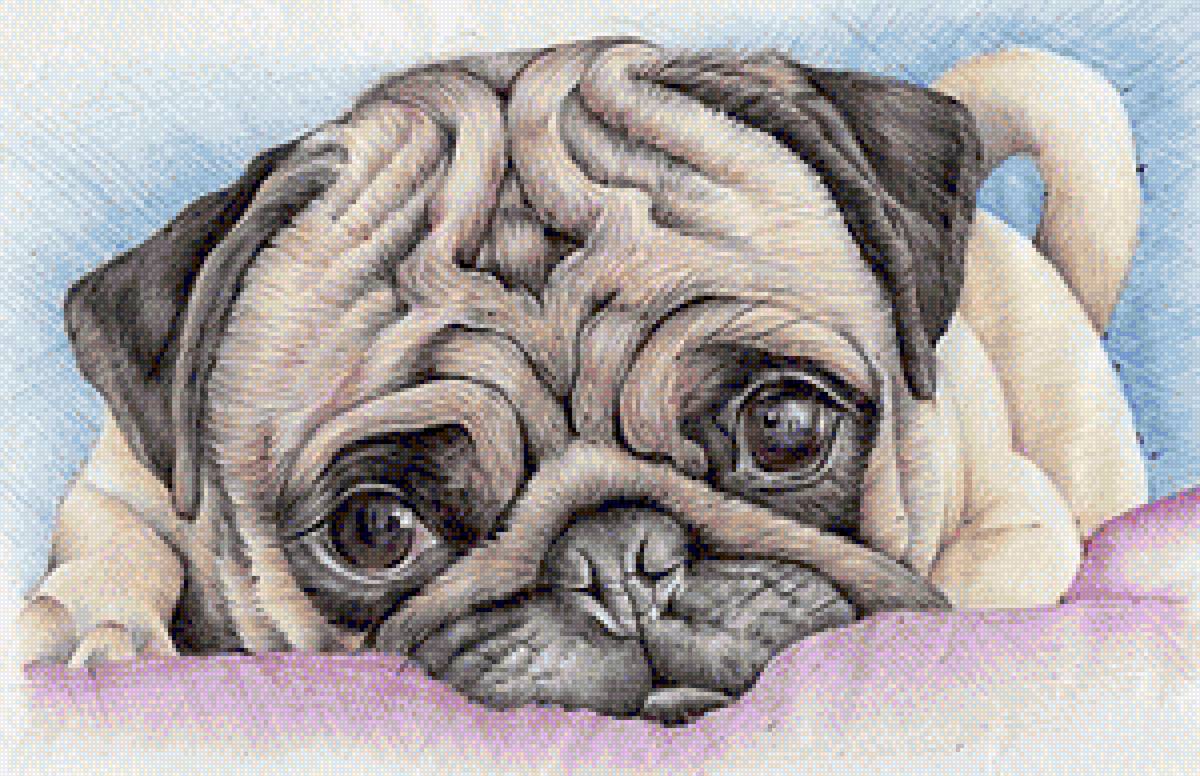 191 - предпросмотр