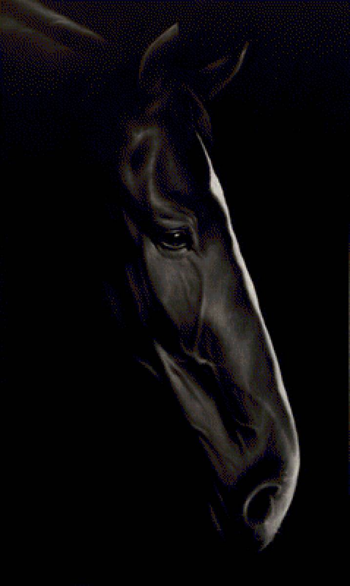 №1368562 - предпросмотр