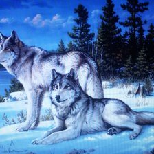 Схема вышивки «Пара волков»