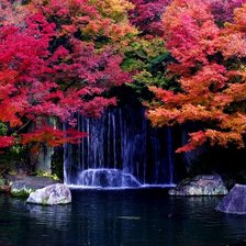 японский сад