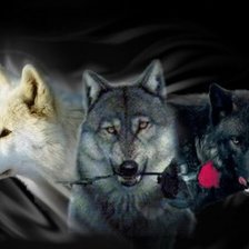 Схема вышивки «Трио волков»