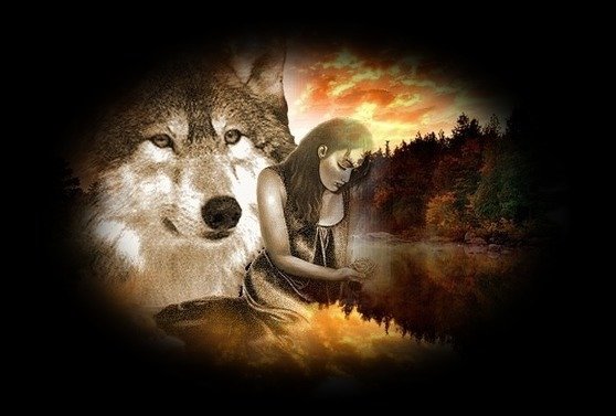 Чувства - волк, животные, хищники - оригинал