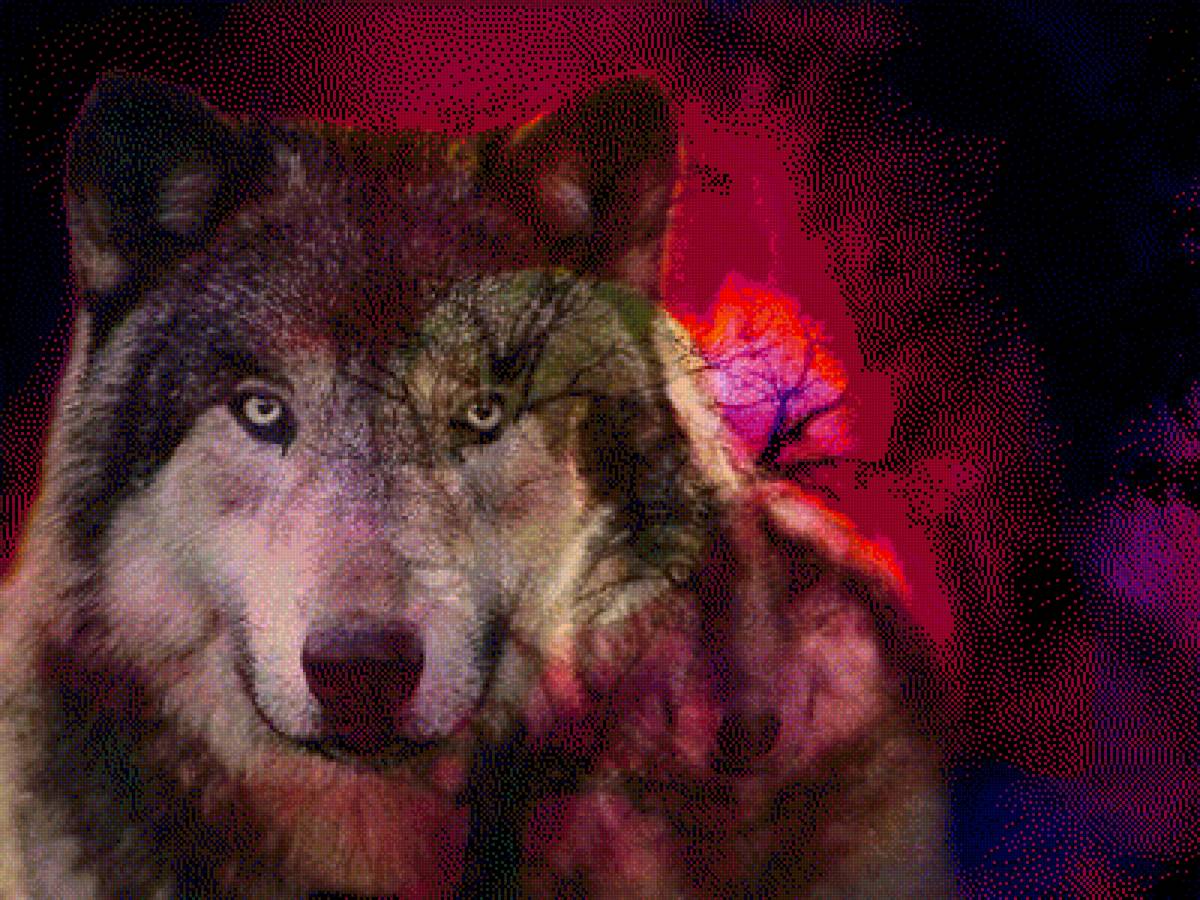 Чувства - волк, хищники, животные - предпросмотр