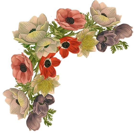 №1370008 - оригинал