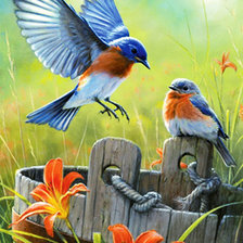 Схема вышивки «Птички»