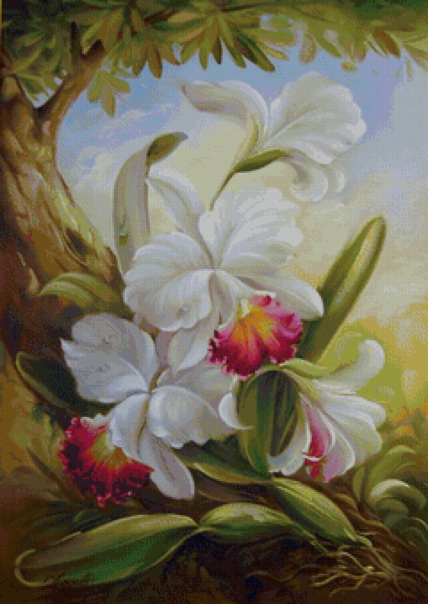 №1370127 - предпросмотр