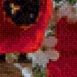Предпросмотр схемы вышивки «маки» (№1370275)