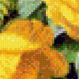Предпросмотр схемы вышивки «Желтые розы» (№1370391)