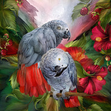 Схема вышивки «Попугаи»