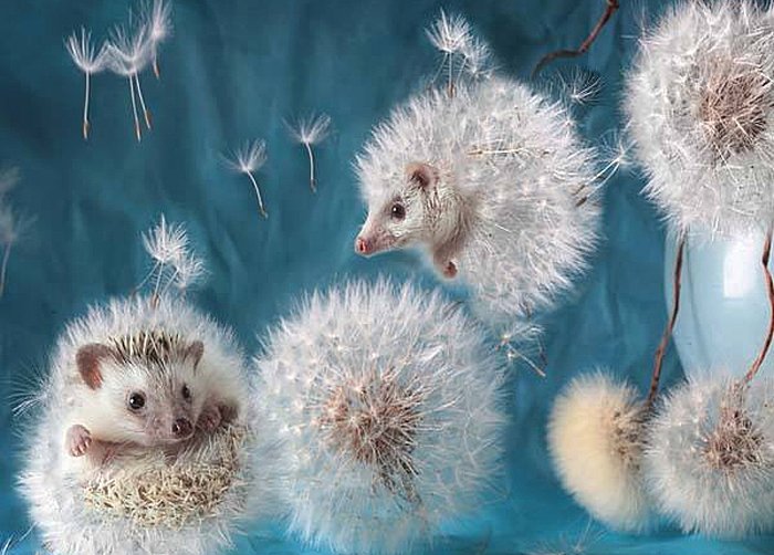 195 - оригинал