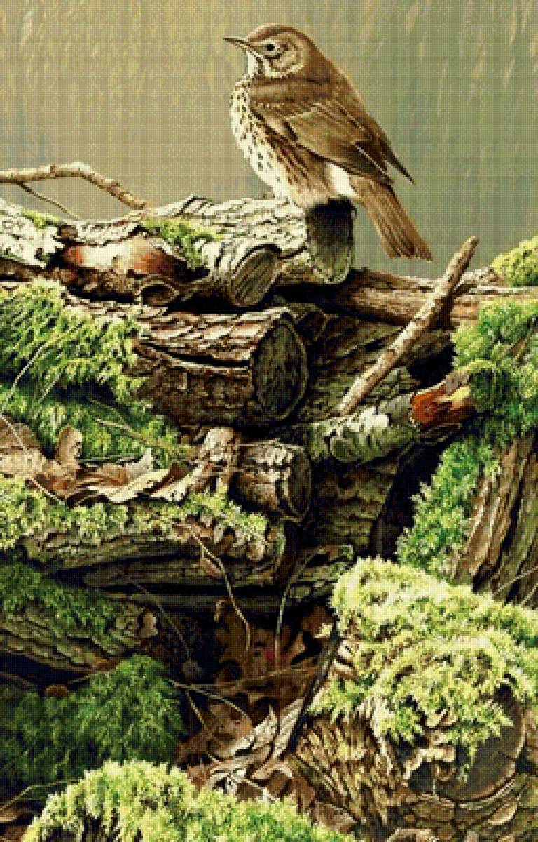 №1370476 - предпросмотр