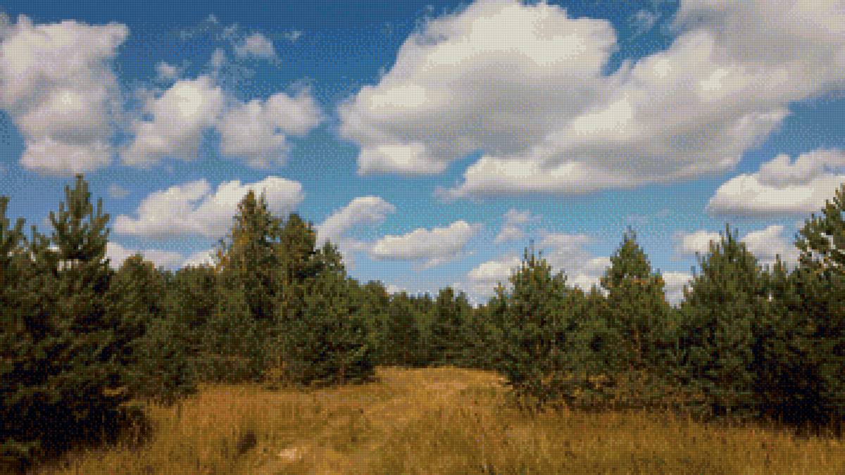 Родной край - лес, лето, природа - предпросмотр