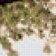 Предпросмотр схемы вышивки «000404» (№1371907)